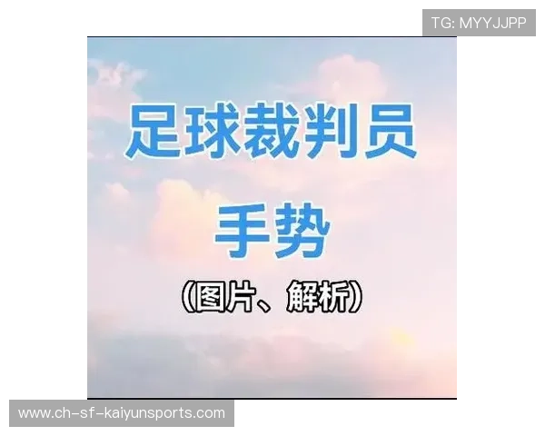 国际足球裁判培训与青年裁判轮换计划，国际足球裁判法