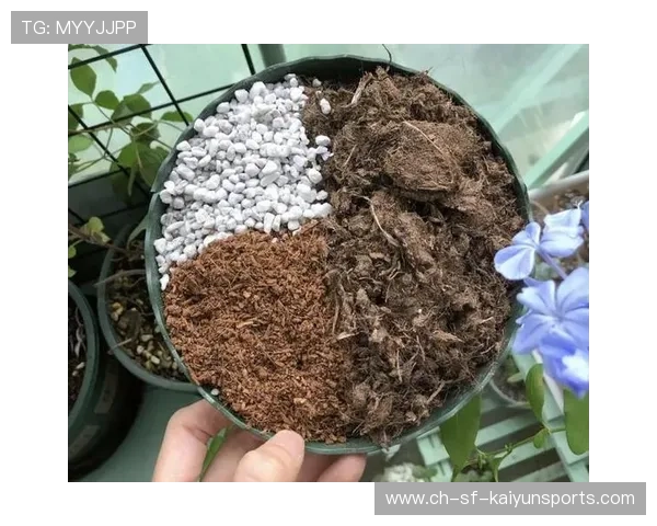 越野跑的泥炭土富含腐殖质，泥炭土作用